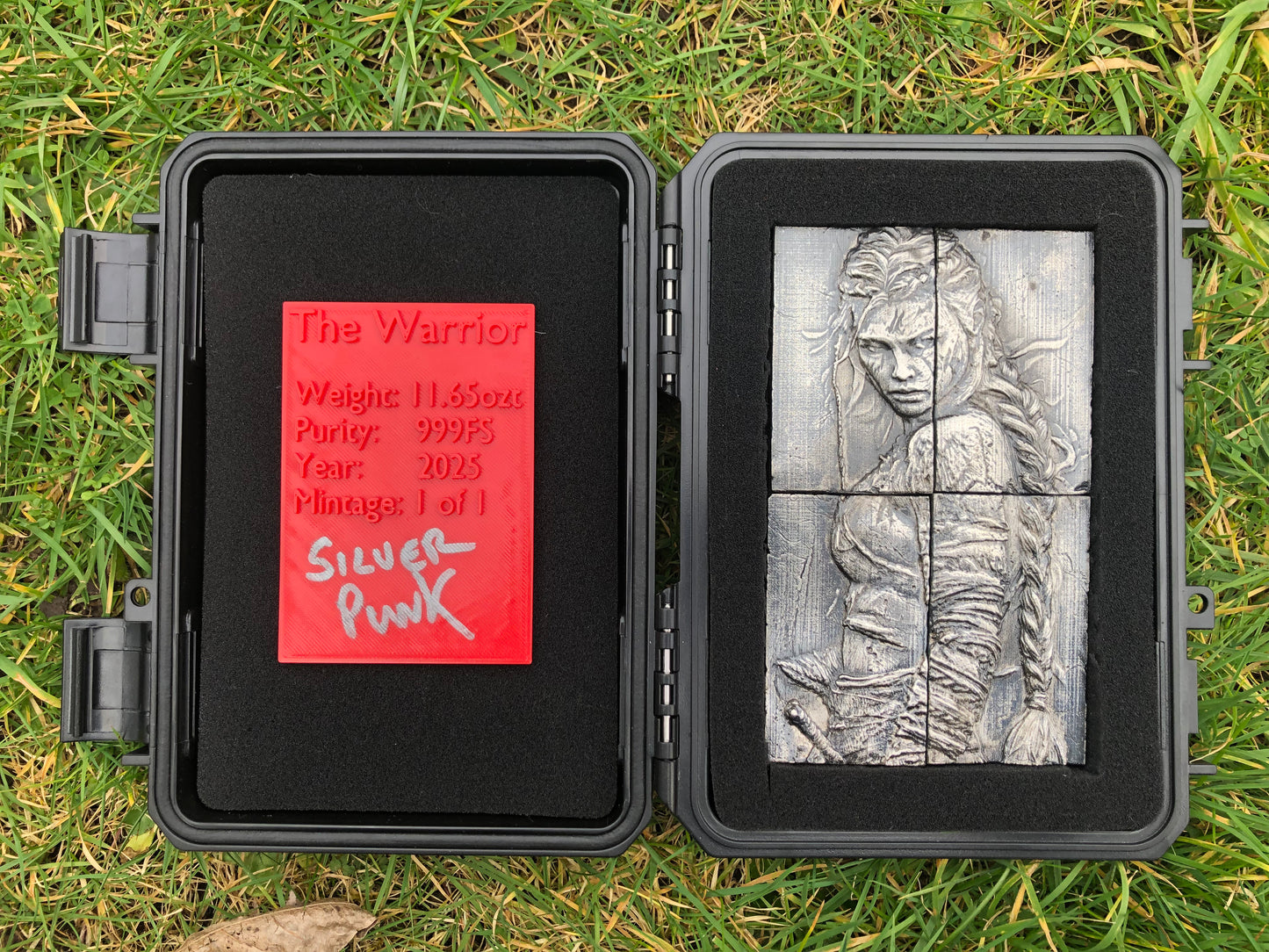The Warrior (1 of 1)