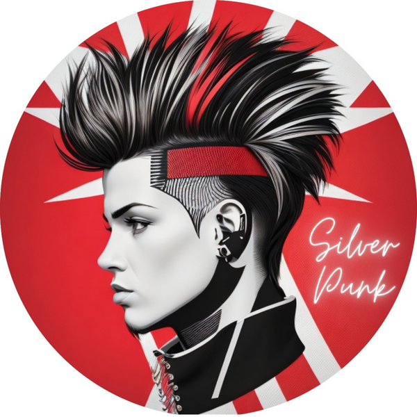 Silver Punk