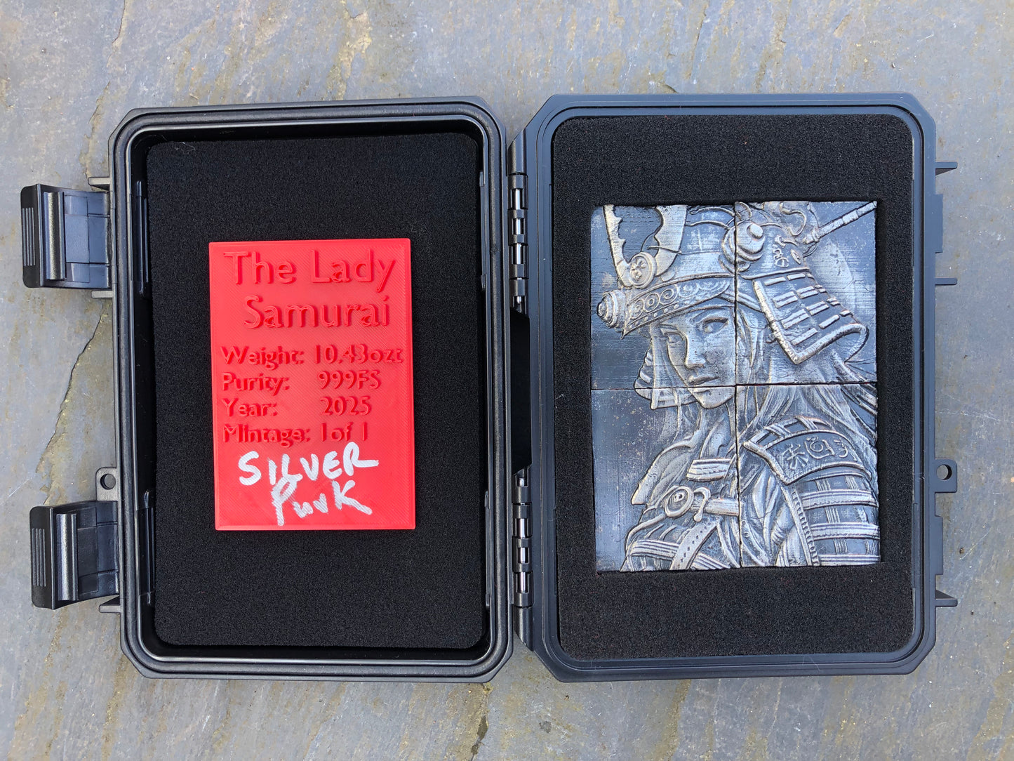 The Lady Samurai (1 of 1)