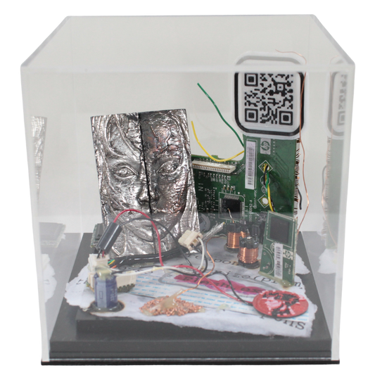 🖤 Flesh.exe (1 of 1)