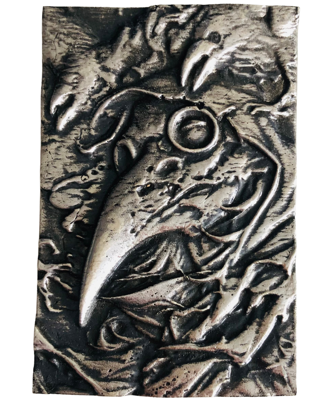 The Raven Doctor (1 of 1)