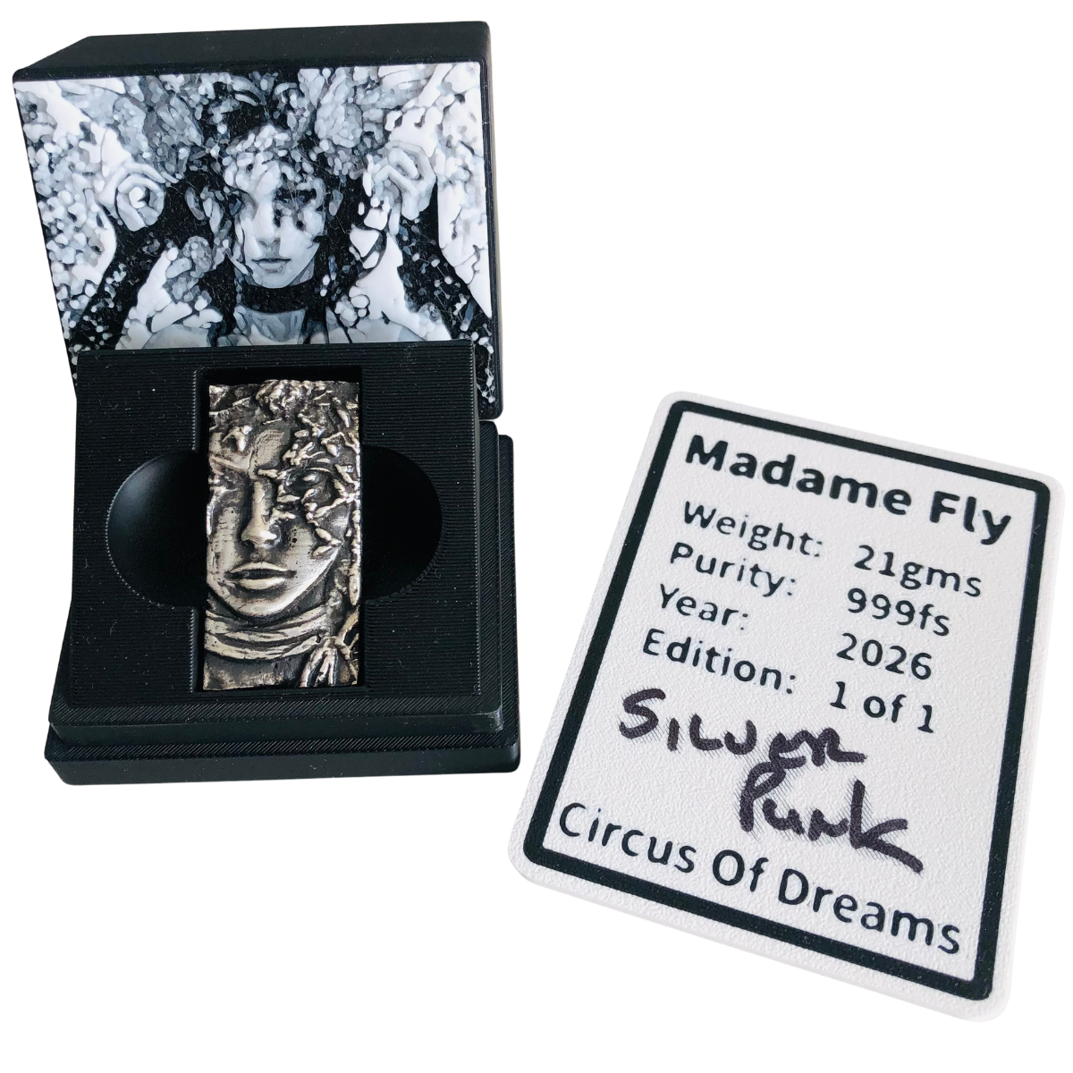 Madame Fly (1 of 1) Miniature