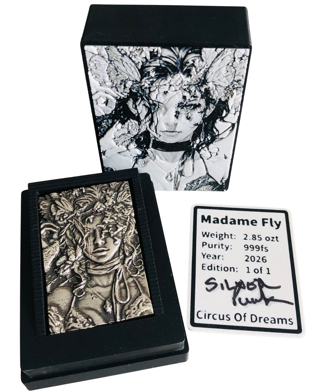 Madame Fly (1 of 1)