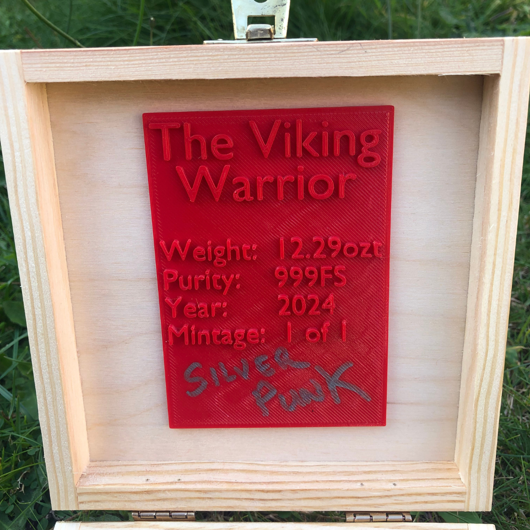 The Viking Warrior